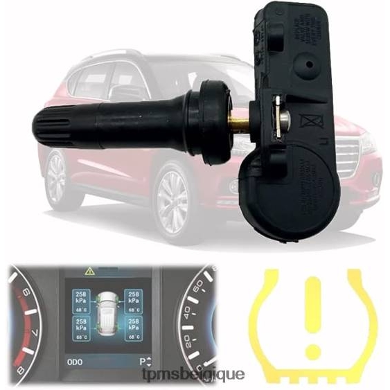 tpms haval/gwm le capteur de pression 3641100xku00a 433mhz 04R61692 TPMS shop