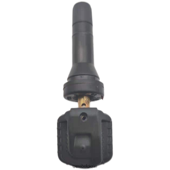 Tpms jianghuai le capteur de pression b00019849 433mhz 04R61760 capteur de pression des pneus moto