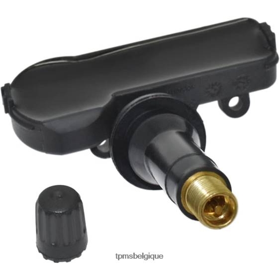 tpms kia le capteur de pression 529333t000 461mhz 04R61684 TPMS shop