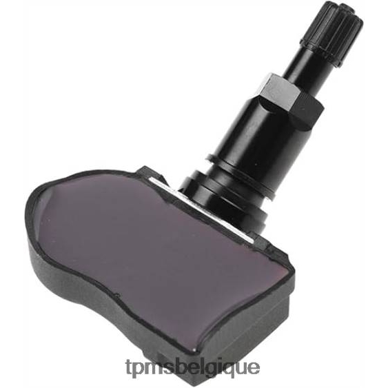 Capteur de pression des pneus TPMS Tesla 107481200b 04R61422 capteur de pression des pneus